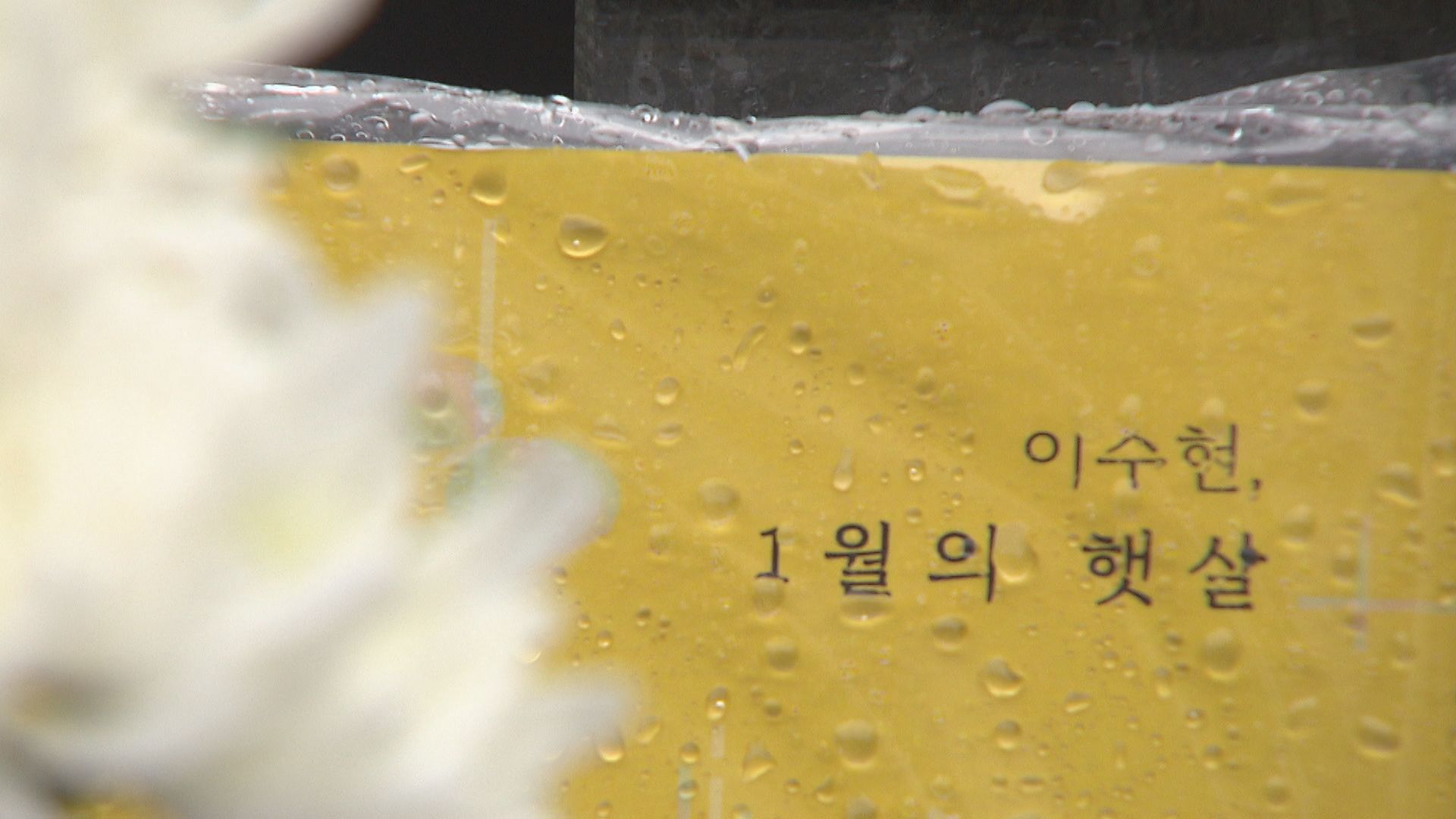 26일 오전 부산시립공원묘지에서 이수현 씨의 20주기 추모식이 열렸다. 이 씨의 묘지에는 지인들이 그의 삶을 정리한 책 <이수현, 1월의 햇살>이 놓였다. 