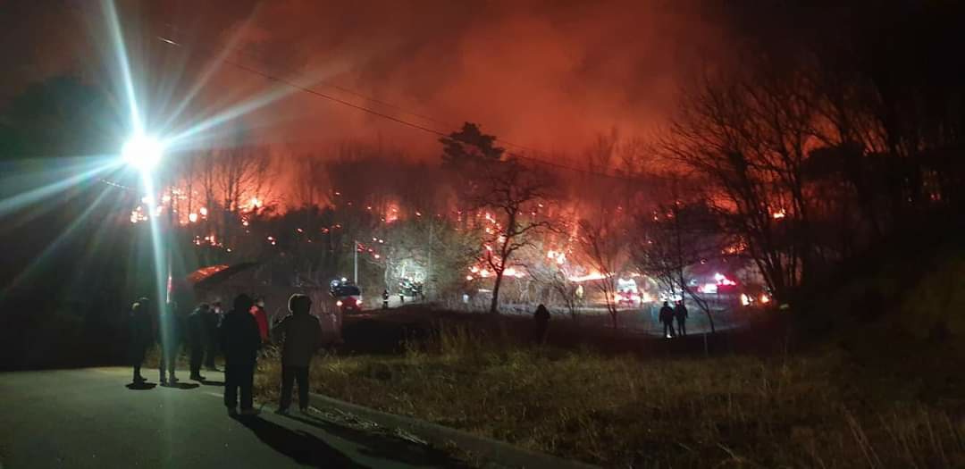 2월 18일 강원 양양군 사천리 산불 현장