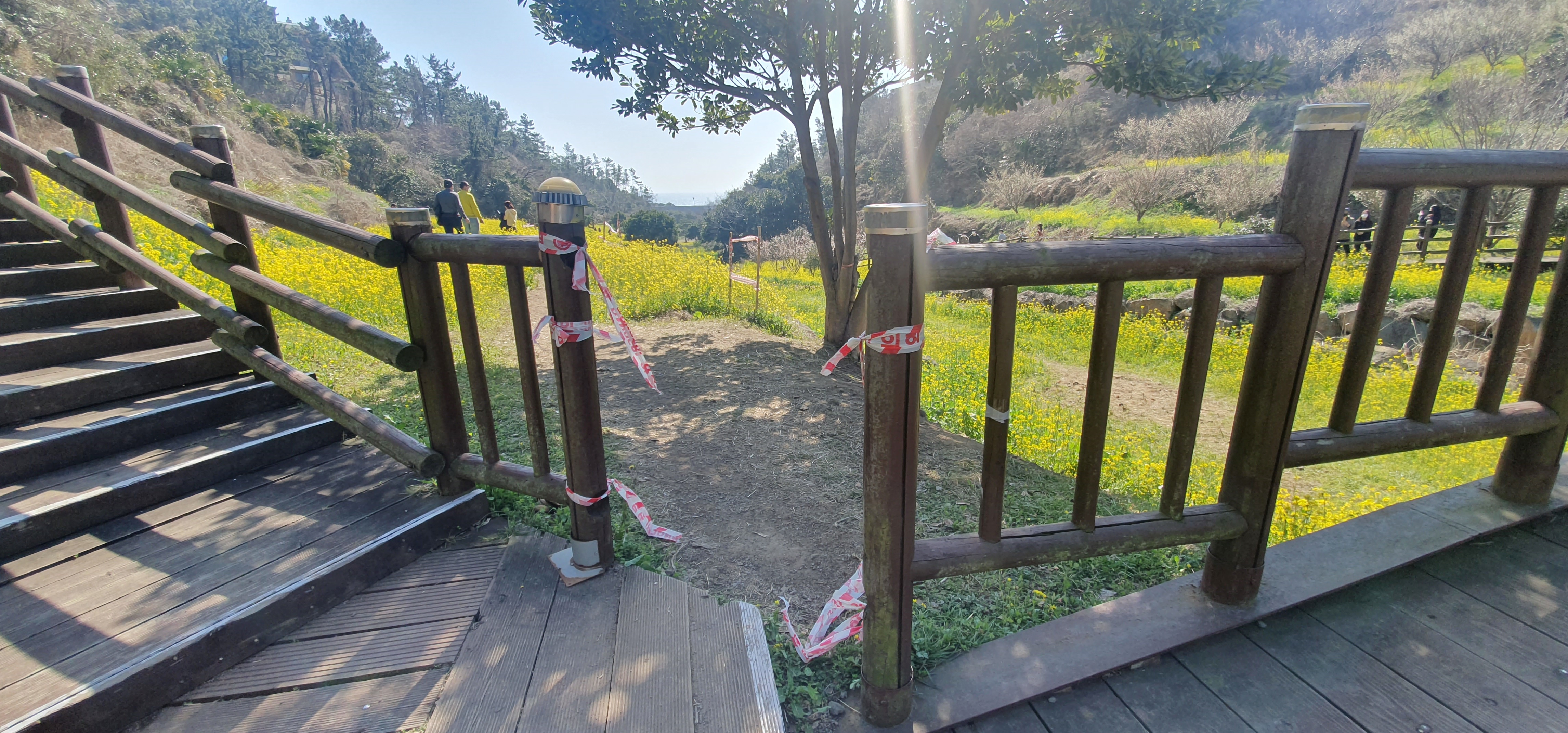 21일 제주도 서귀포시 색달동 ‘엉덩물계곡’ 산책로 옆에 설치된 출입 통제선이 끊겨있다. 