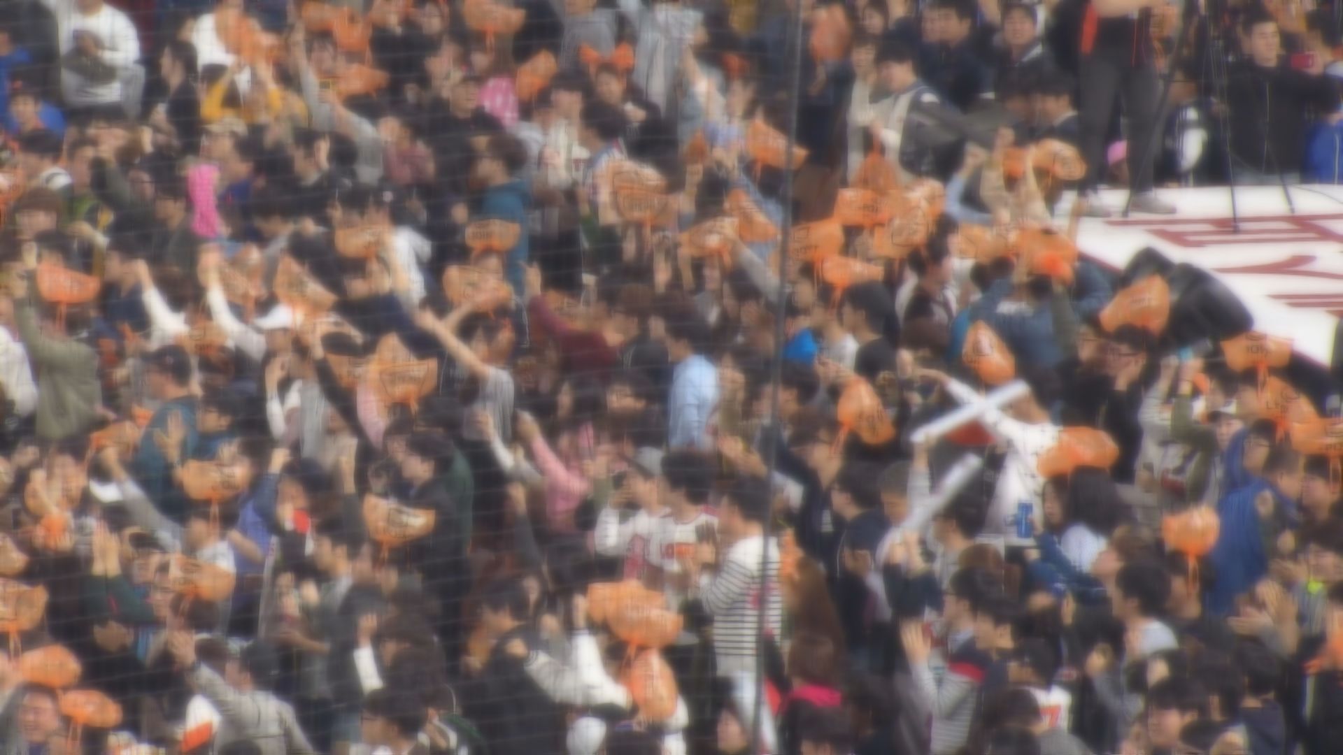 부산 사직야구장에서 관중들이 주황색 비닐봉지를 쓰고 응원하고 있다. 