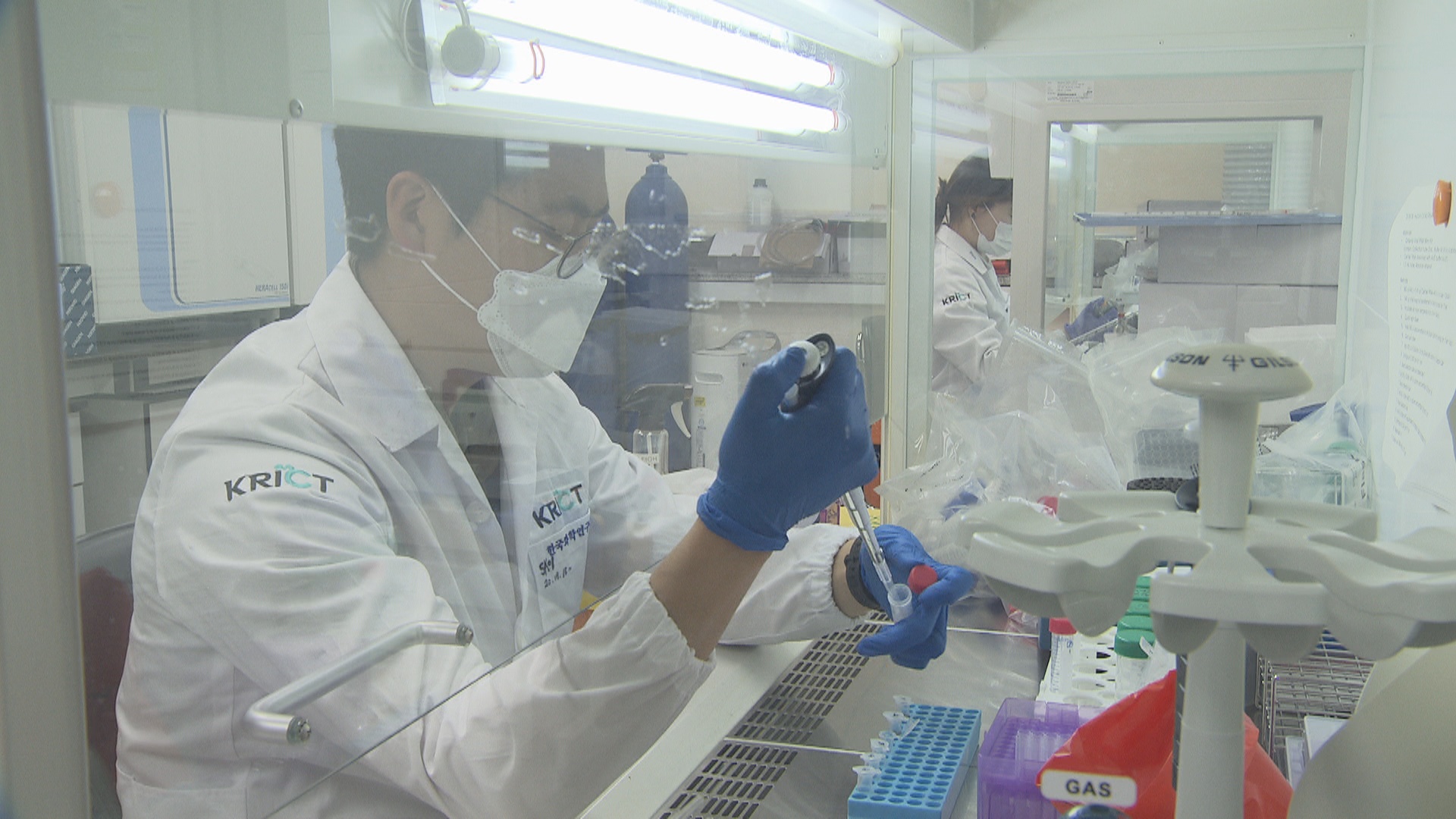한국화학연구원 연구진이 코로나19 백신 후보물질의 효능을 검증하기 위한 실험을 하고 있다.