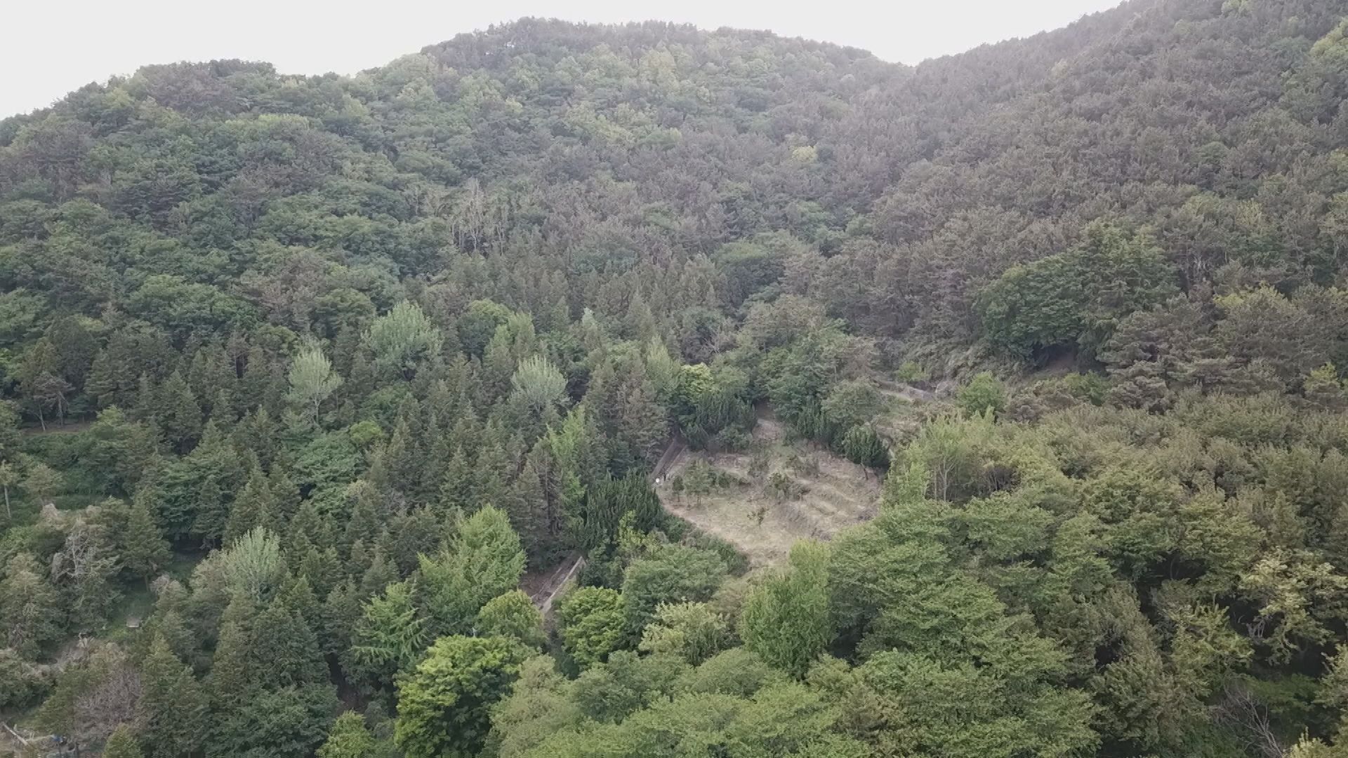 70대 남성 피살사건이 발생한 부산시 서구 시약산