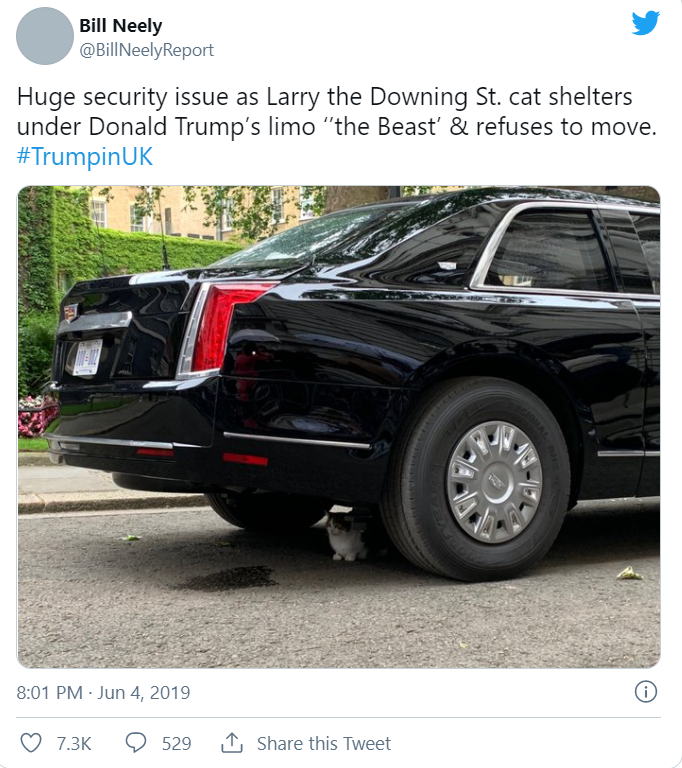 2019년 도널드 트럼프 전 미 대통령이 영국 관저를 방문했을 당시 그의 차 밑으로 들어간 고양이 래리. ＜출처:트위터＞