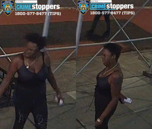 미국 뉴욕 경찰은 5월 2일(현지 시간) 맨해튼에서 길을 가던 아시아 여성 2명을 망치로 때린 혐의로 흑인 여성을 공개 수배했다.