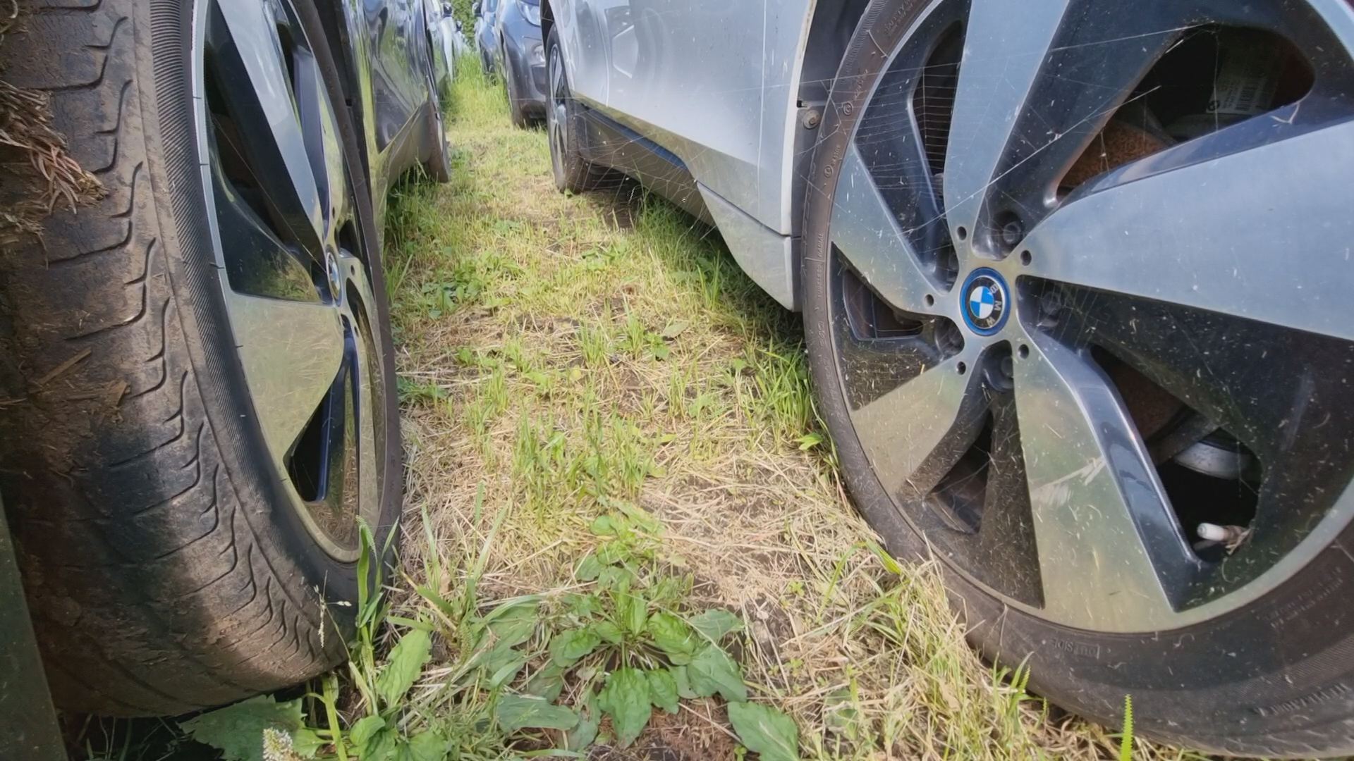 제주시 애월읍의 한 목초지. 방치된 BMW 전기차 사이로 거미줄이 처져 있다.