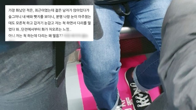 한 임산부가 임산부 배려석에 앉은 한 남성 승객에 대해 온라인 게시판에 올린 글   (출처 : 임산부 관련 카페에서 갈무리)