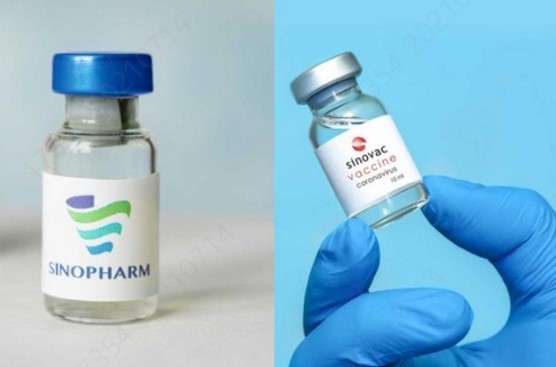 중국이 생산중인 시노팜(왼쪽)과 시노백(오른쪽) 코로나19 백신들 (출처: 연합뉴스)