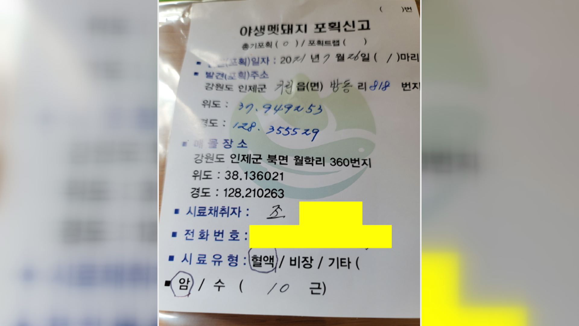 강원도 인제군의 엽사가 허위로 작성한 포획 신고서