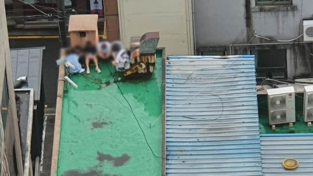 경찰이  불법 유흥업소에 들이닥치자 옥상에 일부 손님들이 숨어있는 모습