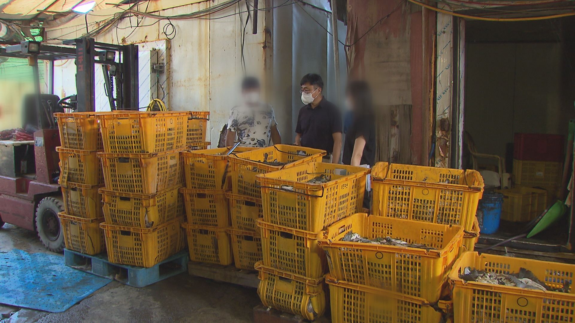 올해 여름 고수온으로 부산 기장군 일대 양식장에서 폐사가 잇따랐다. 어민들이 피해 조사 전 폐사한 넙치를 노란 바구니에 담아 냉동창고에 보관하고 있다.