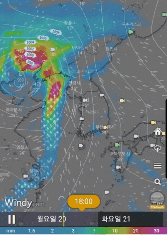 Windy.com에서 제공하는 유럽중기예측센터(ECMWF)의 강수예측모델