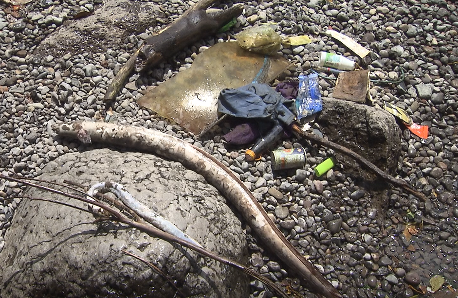 지난 8월 정방폭포에서 발견된 쓰레기와 장어 사체들