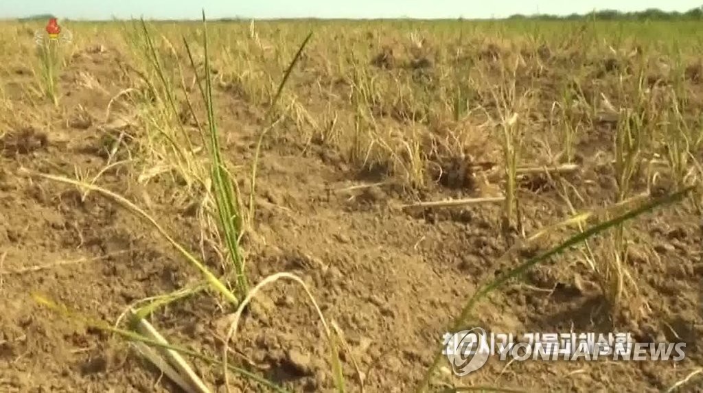 북한 조선중앙TV가 7월 16일 가뭄 실태를 보도하며 공개한 농경지 모습.  사진 출처 : 연합뉴스