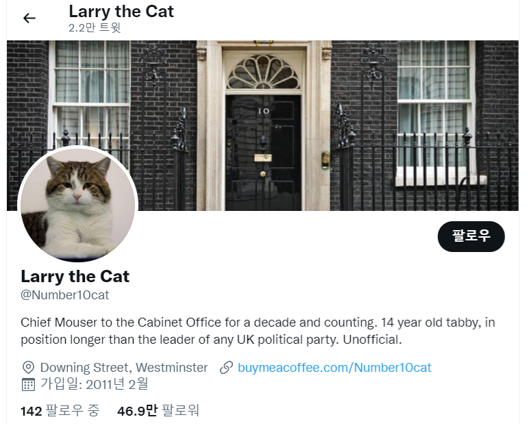 고양이 래리의 공식 트위터.