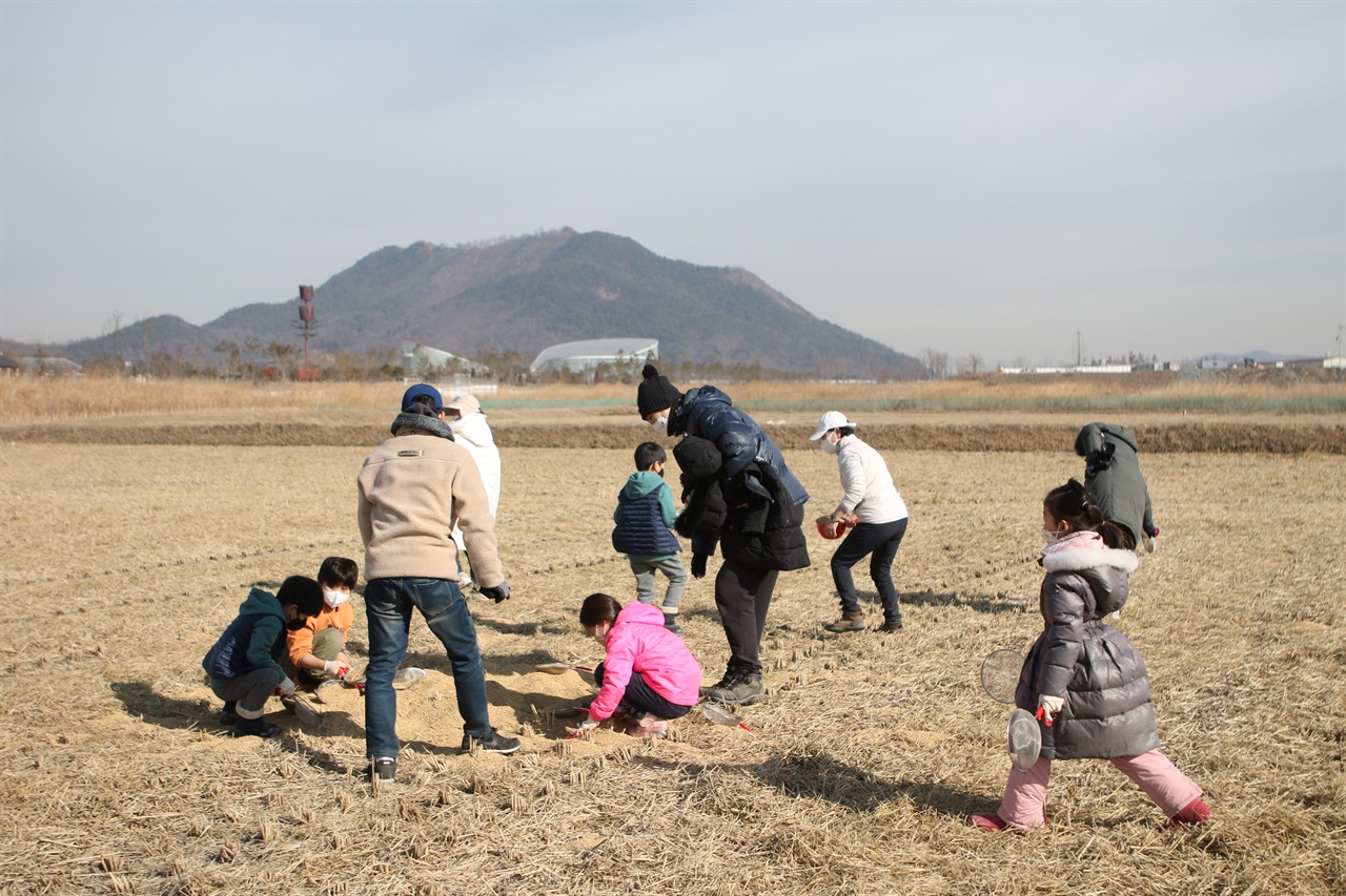 지난달 세종시 장남평야에 아이들이 겨울 철새를 위한 볍씨를 뿌려주고 있다