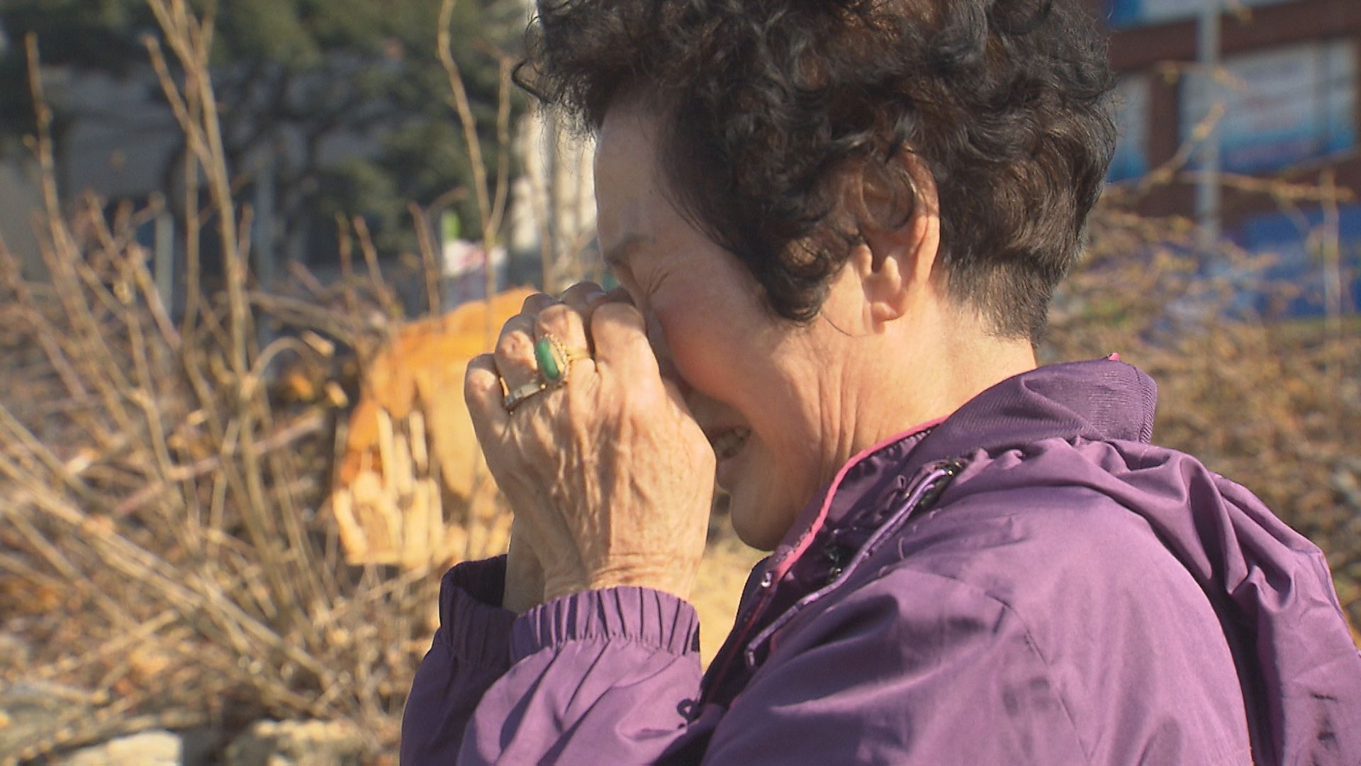 40년 가량 된 벚나무가 잘려나간 모습을 보고 울고 있는 권진옥 할머니