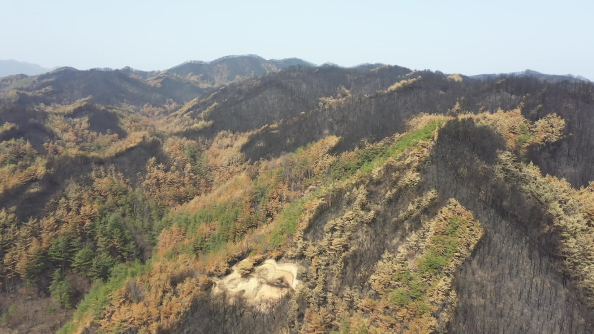 산불로 곳곳이 검게 타버린 경북 울진군 야산.