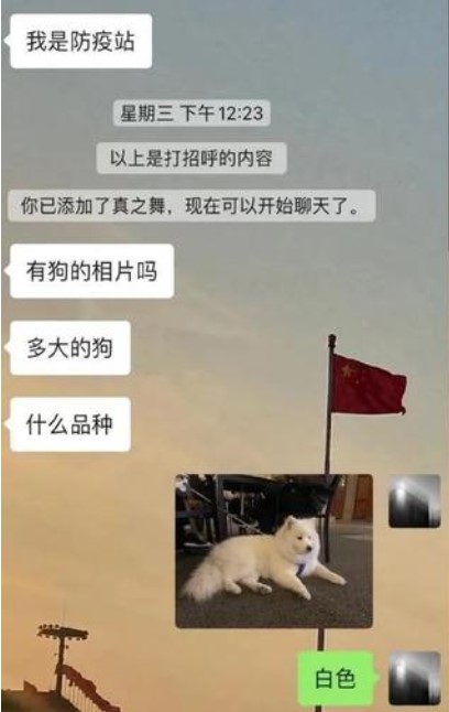  반려인은 여러 방역 기관에 ‘눈덩이’를 구하기 위해 백방으로 연락했다. (출처: 웨이보)