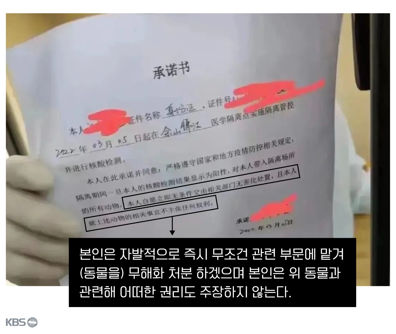  지난 5일 상하이 한 격리시설에 들어가게 된 사람이 자신이 동물 무해화 처분에 대한 동의서를 써야 했다고 공개했다.  