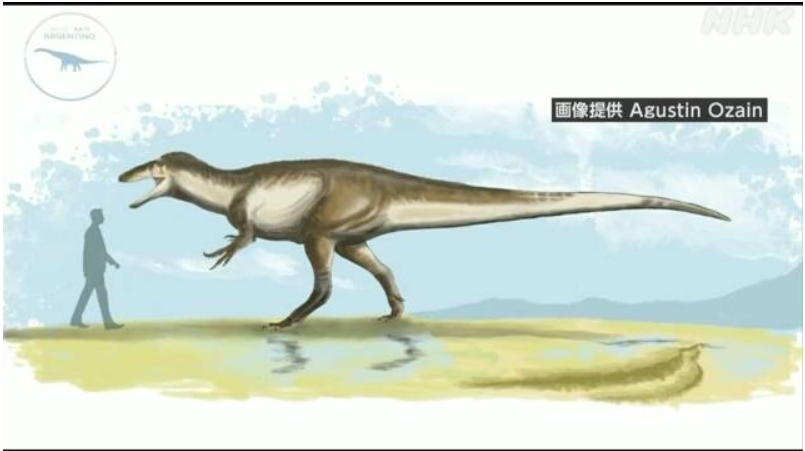 남미 아르헨티나에서 발견된 신종 육식공룡 ‘마이푸’ 상상도 (사진/ NHK 홈페이지)