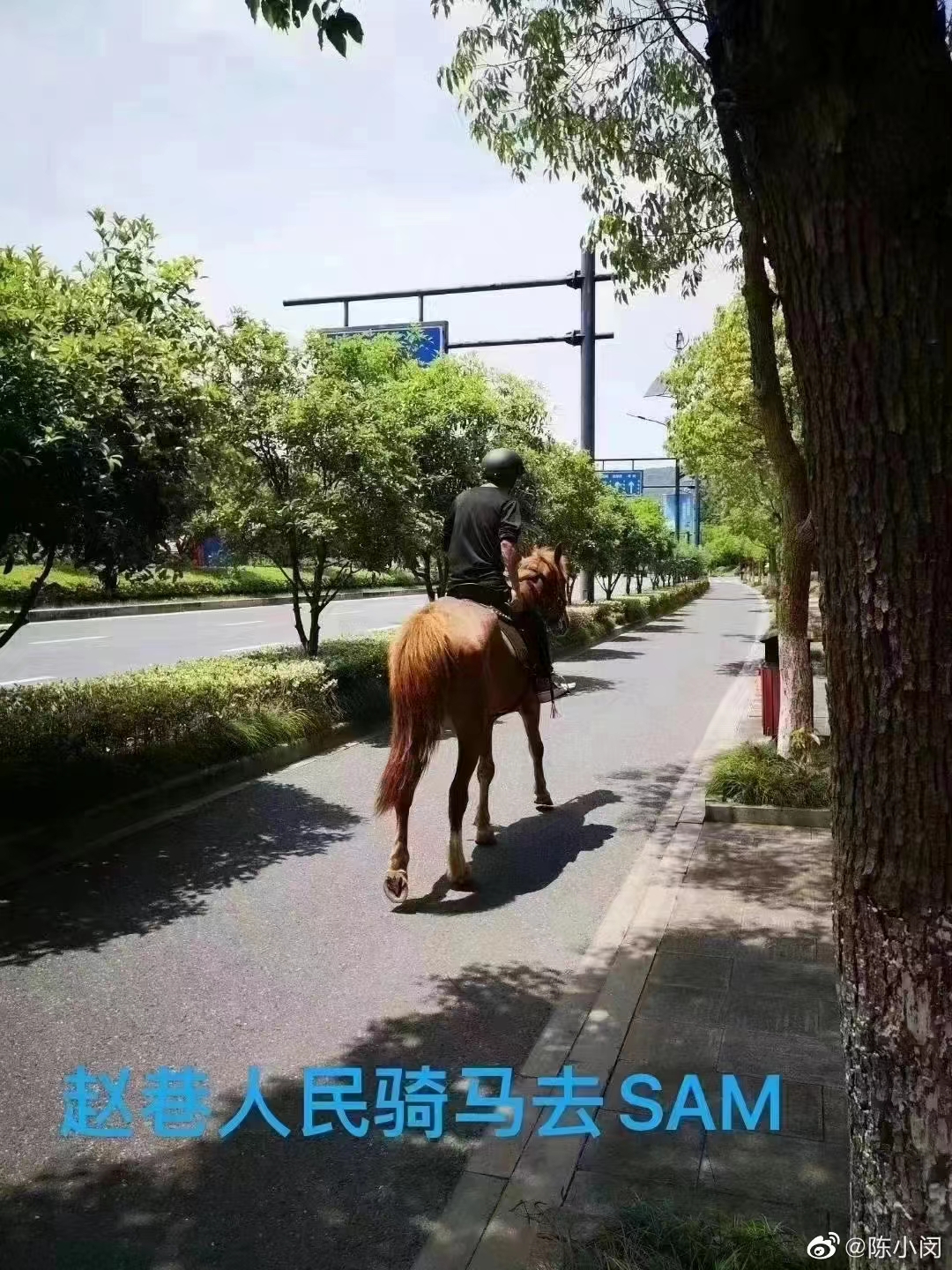 상하이 시 당국이 자동차 도로 운행을 금지 시키자, 말을 타고 이동하는 사람이 등장했다. (출처: 중국 웨이보)