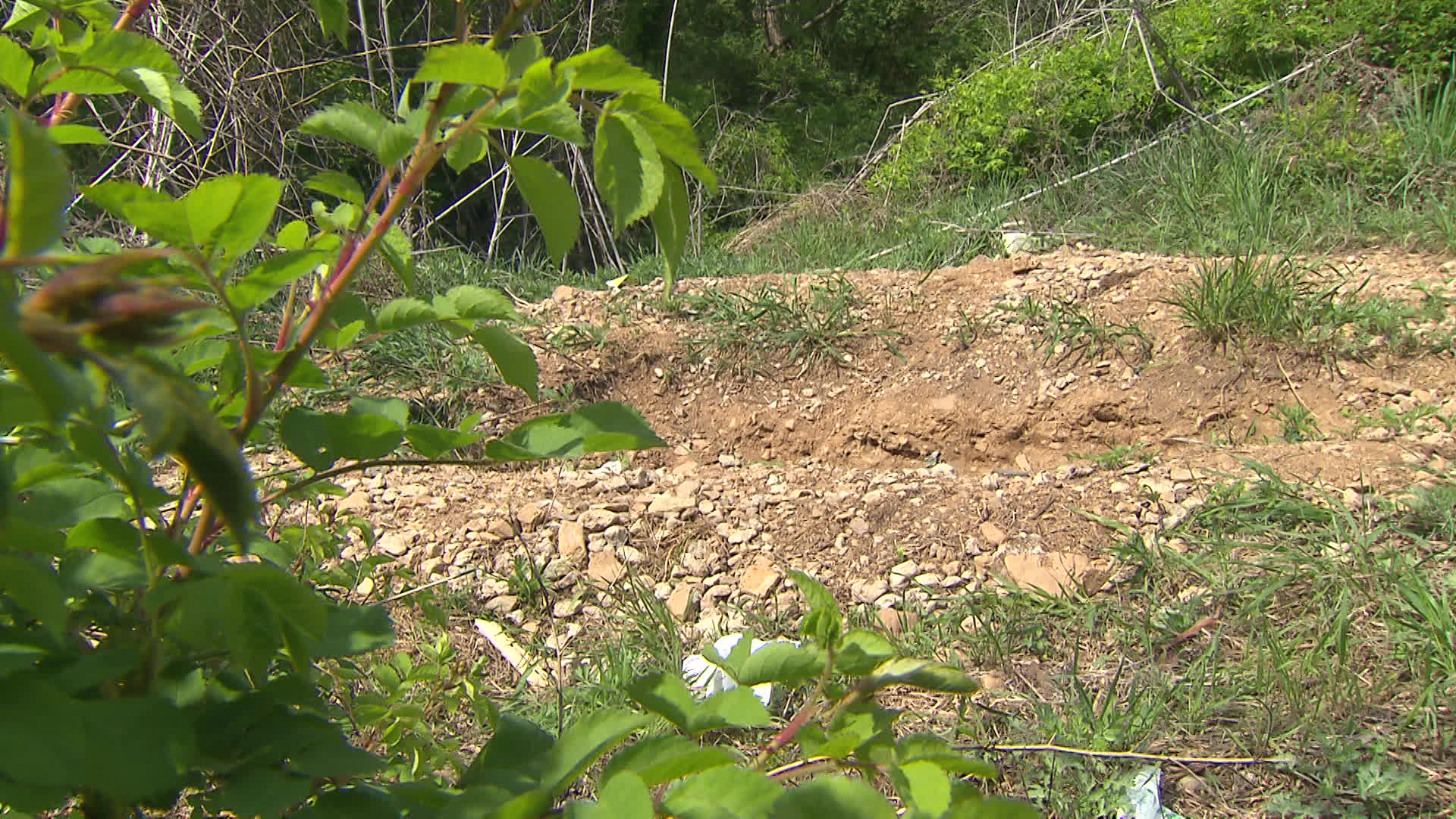 김포 승마산에서 E 씨의 시신이 발견된 장소. 발굴 당시 파인 구덩이가 지금도 남아있다.
