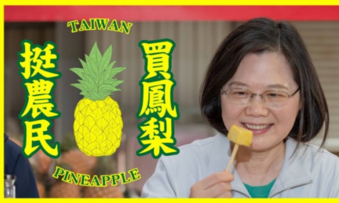 차이 타이완 총통이 중국의 수출 중단에 맞서 파인애플 먹기 챌린저를 제안했다. (출처: 구글)