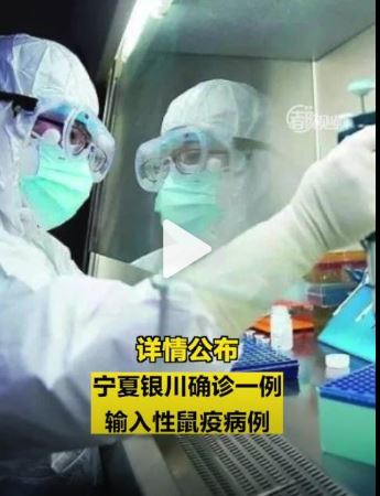 닝샤회족자치구 인촨시에서 흑사병 환자가 발생했다는 내용 (출처:웨이보)
