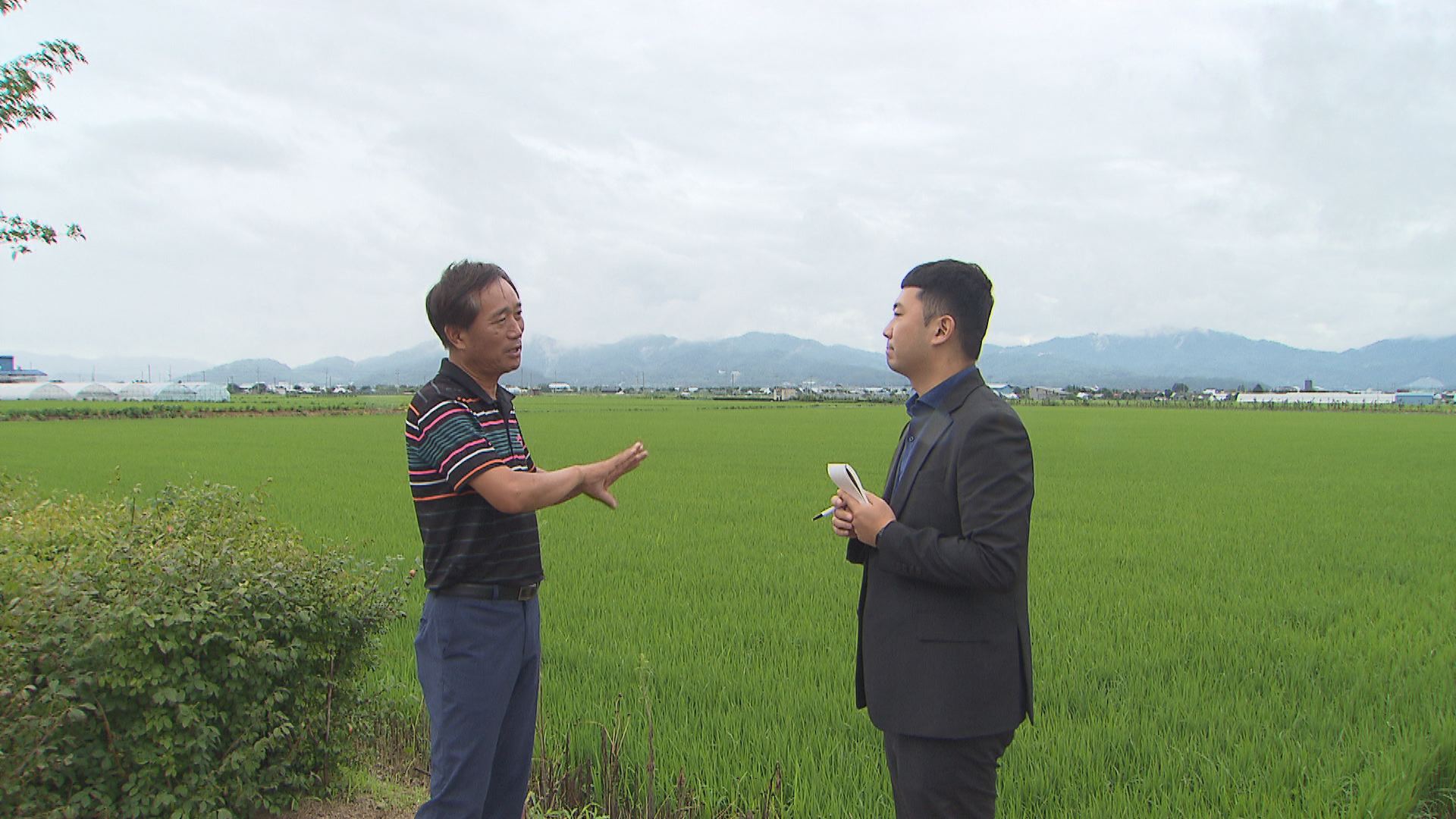 철원에서 쌀 농사를 짓는 유재우 씨는 “쌀값이 계속 떨어지면 올해 수매에도 영향을 줄 수 있어서 걱정이다”라고 말했다.