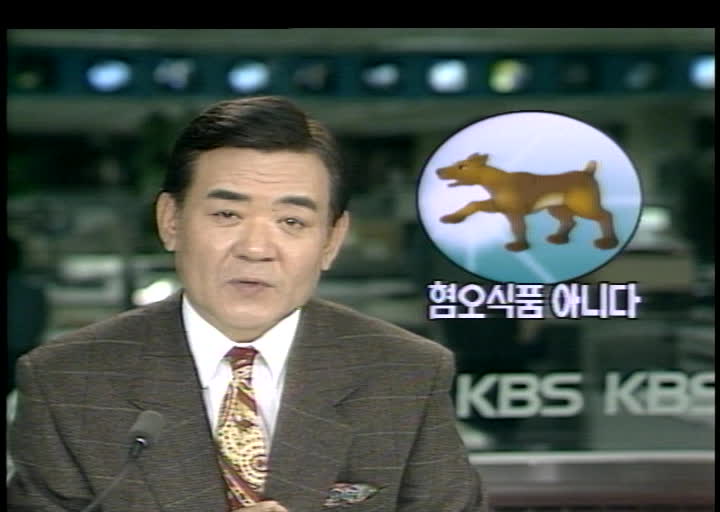개고기가 혐오 식품이 아니라는 법원 판결을 보도한 KBS 뉴스9(1991.11.19)