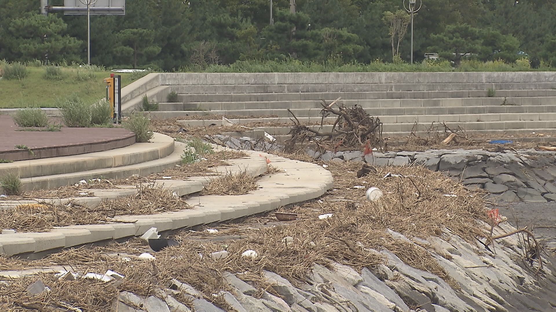 충남 서천군 장항읍 인근 방파제에 부유 쓰레기가 쌓여 있는 모습.