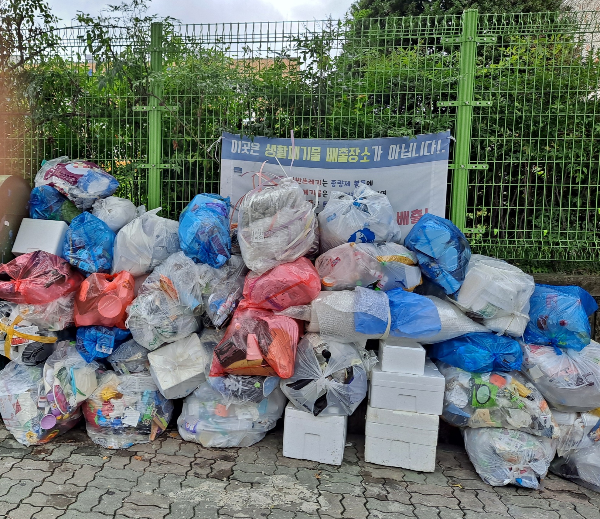 대전시 서구의 한 고등학교 앞에 쌓여있는 쓰레기