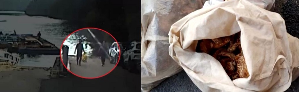 지난 18일 강원도 양구 소양호 상류 선착장에서 한 남성이 무단 채취한 능이-송이버섯. (사진 출처=KBS)