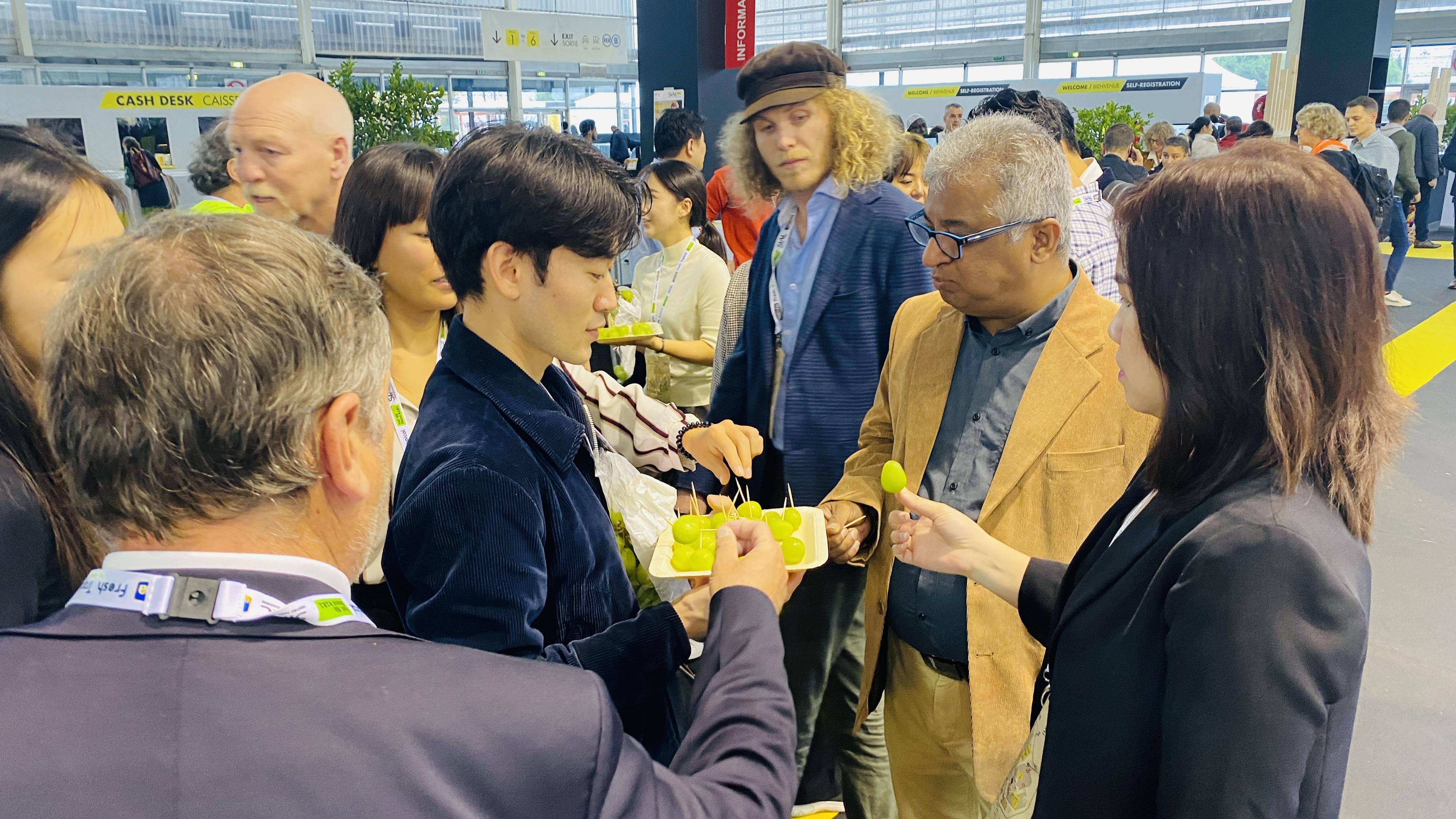 지난 10월 프랑스 파리에서 열린 국제식품박람회에서 한국관을 찾은 사람들이 샤인머스캣을 시식하고 있다.  [aT 제공]