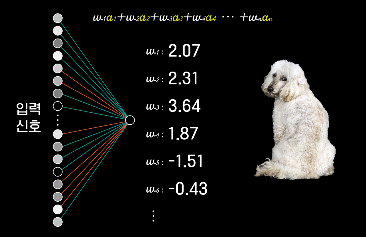 딥러닝 알고리즘은 각 입력신호에 가중치(w)를 부여해 강아지 여부를 판별하는 수식을 만든다.