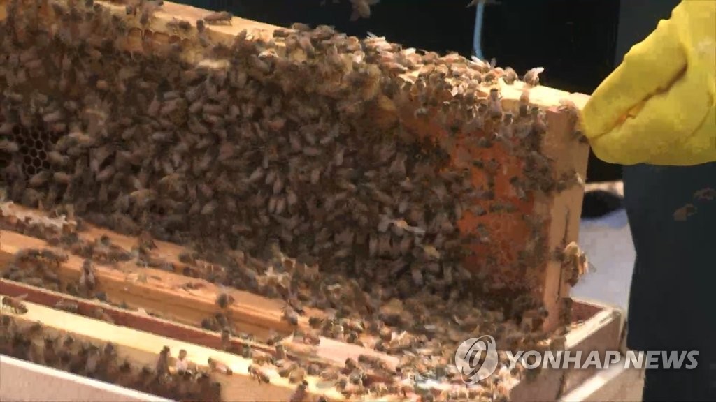 (출처 : 연합뉴스)