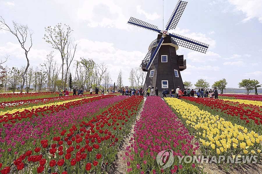 순천만정원 (출처 : 연합뉴스)