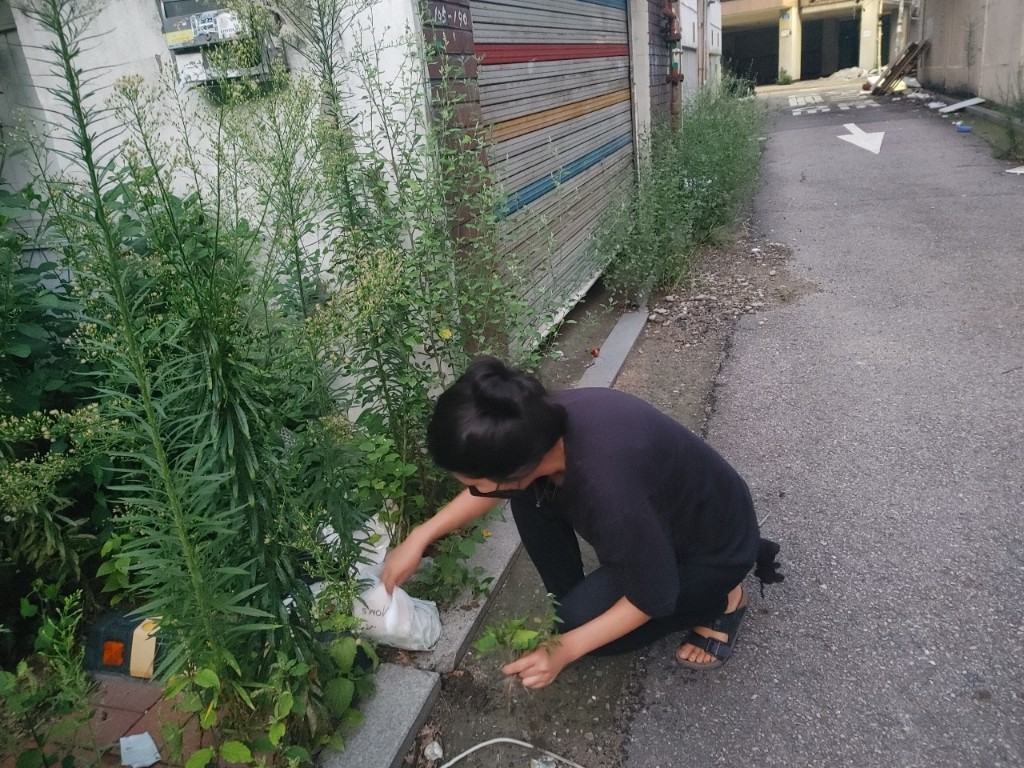 사진: 백수혜 작가 제공