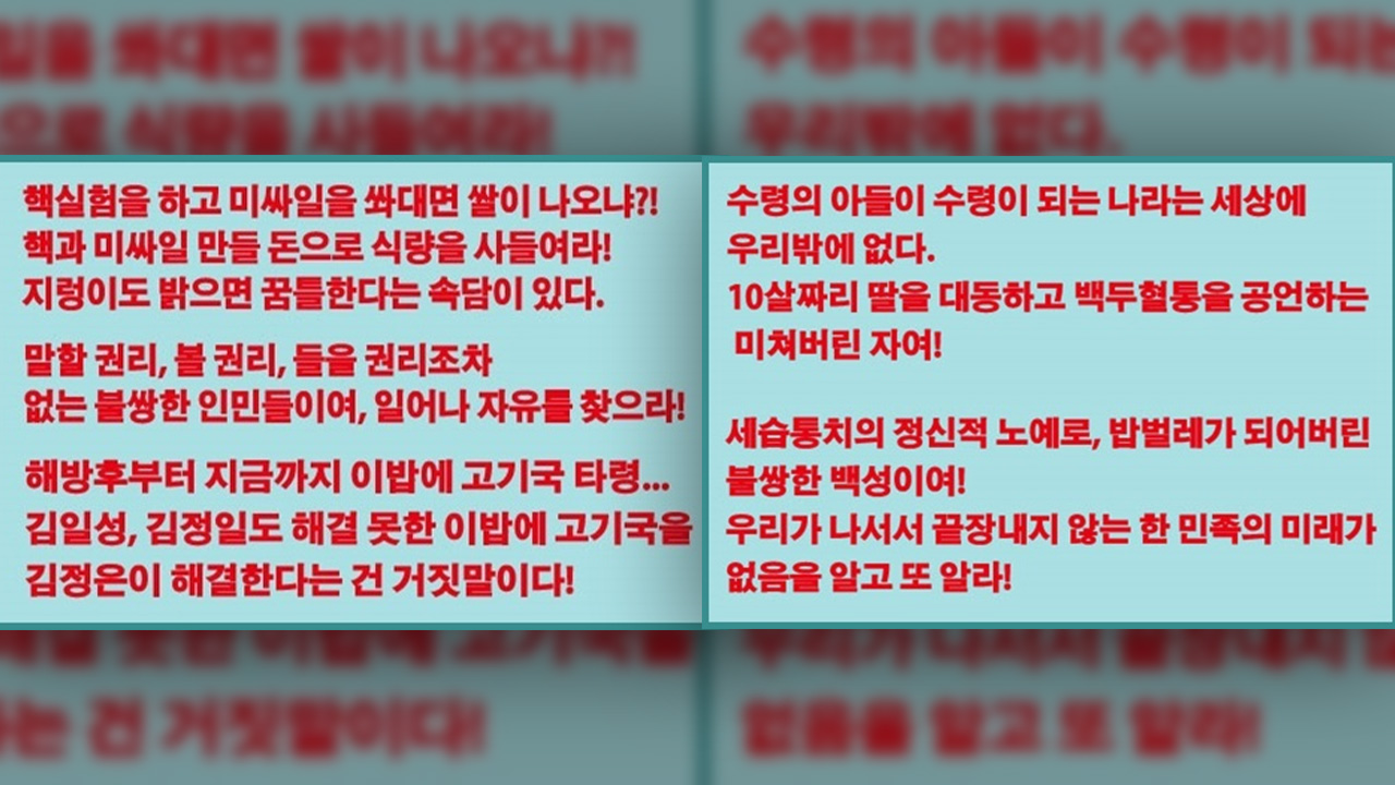 탈북민 단체 ‘자유화 캠페인’이 북으로 날려보냈다고 주장하는 전단 내용