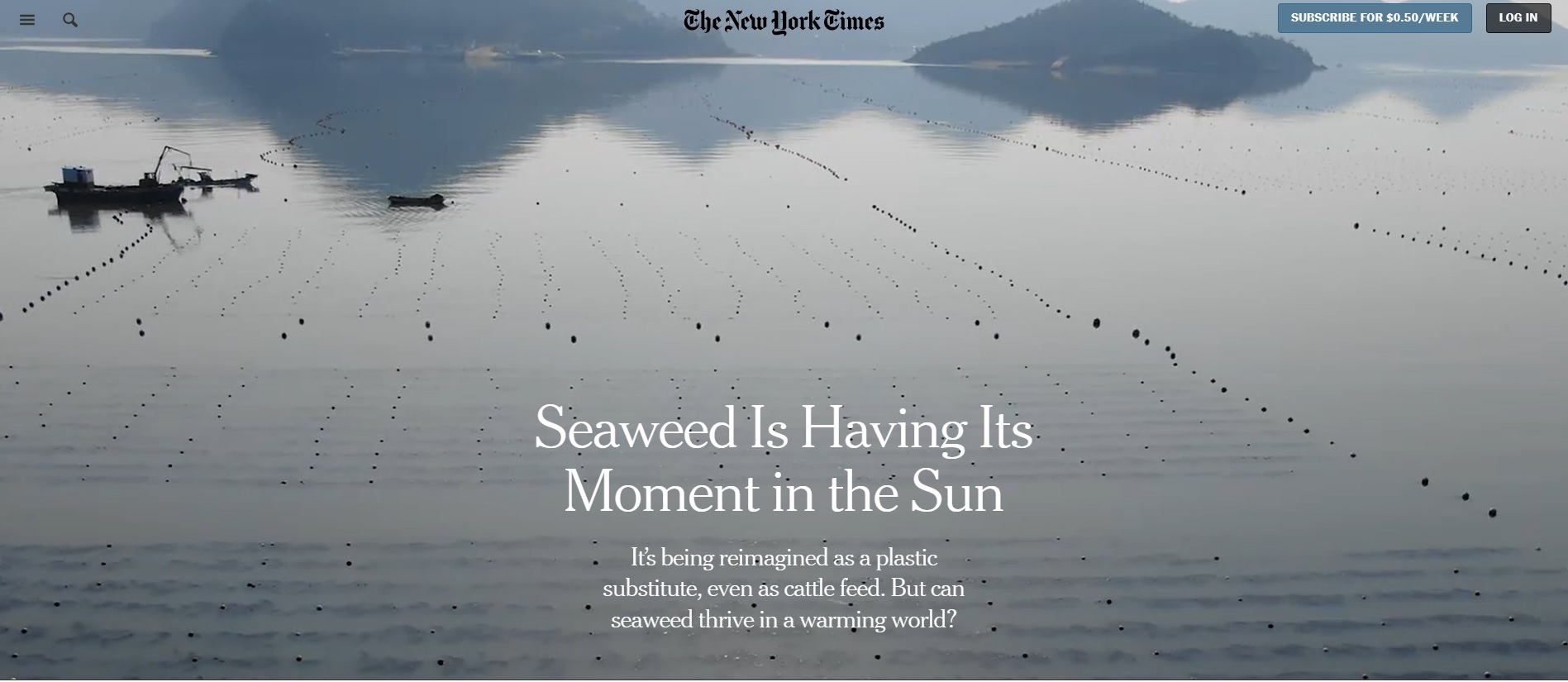 2023년 3월 15일 〈뉴욕타임스〉 특집 기사 : Seaweed is Having its Moment in the Sun