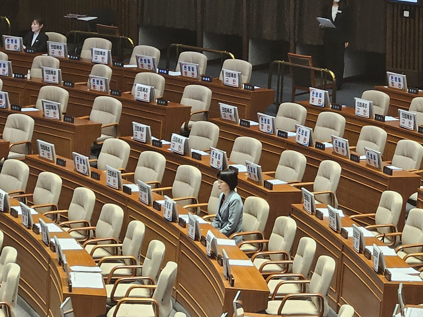 국민의힘 의원들이 퇴장한 본회의장에 최연숙 의원과 김예지 의원만 남아 있다.