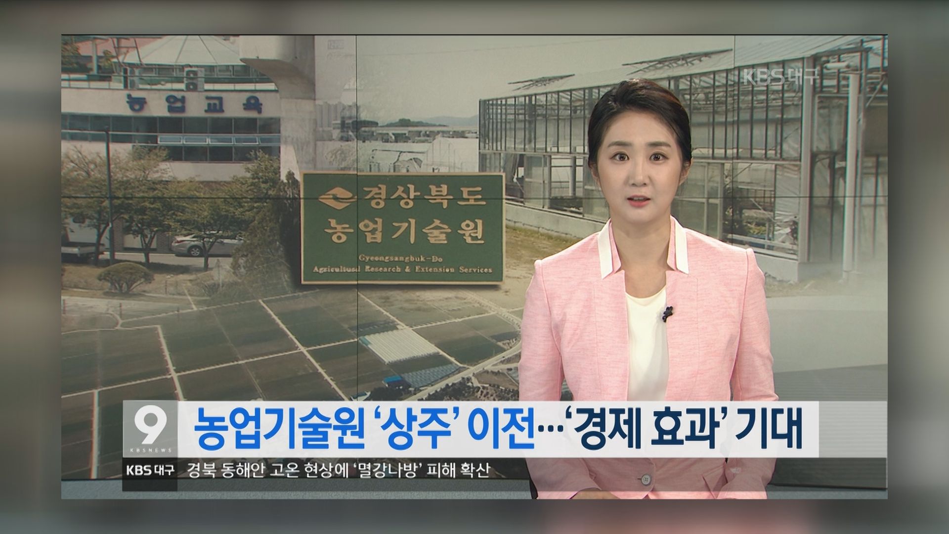 2017년 6월 29일 KBS대구 9시 뉴스.