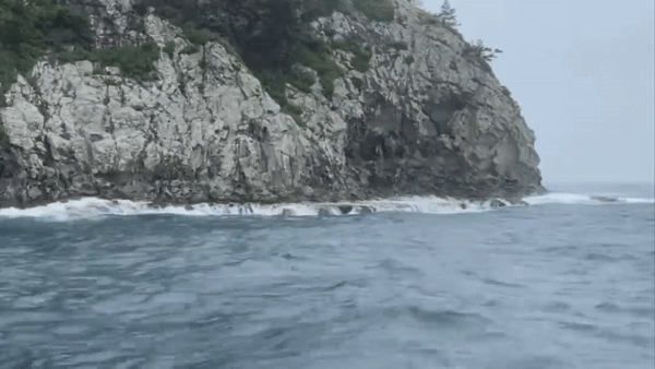18일 오전 혹등고래가 목격된 서귀포 문섬 앞바다.
