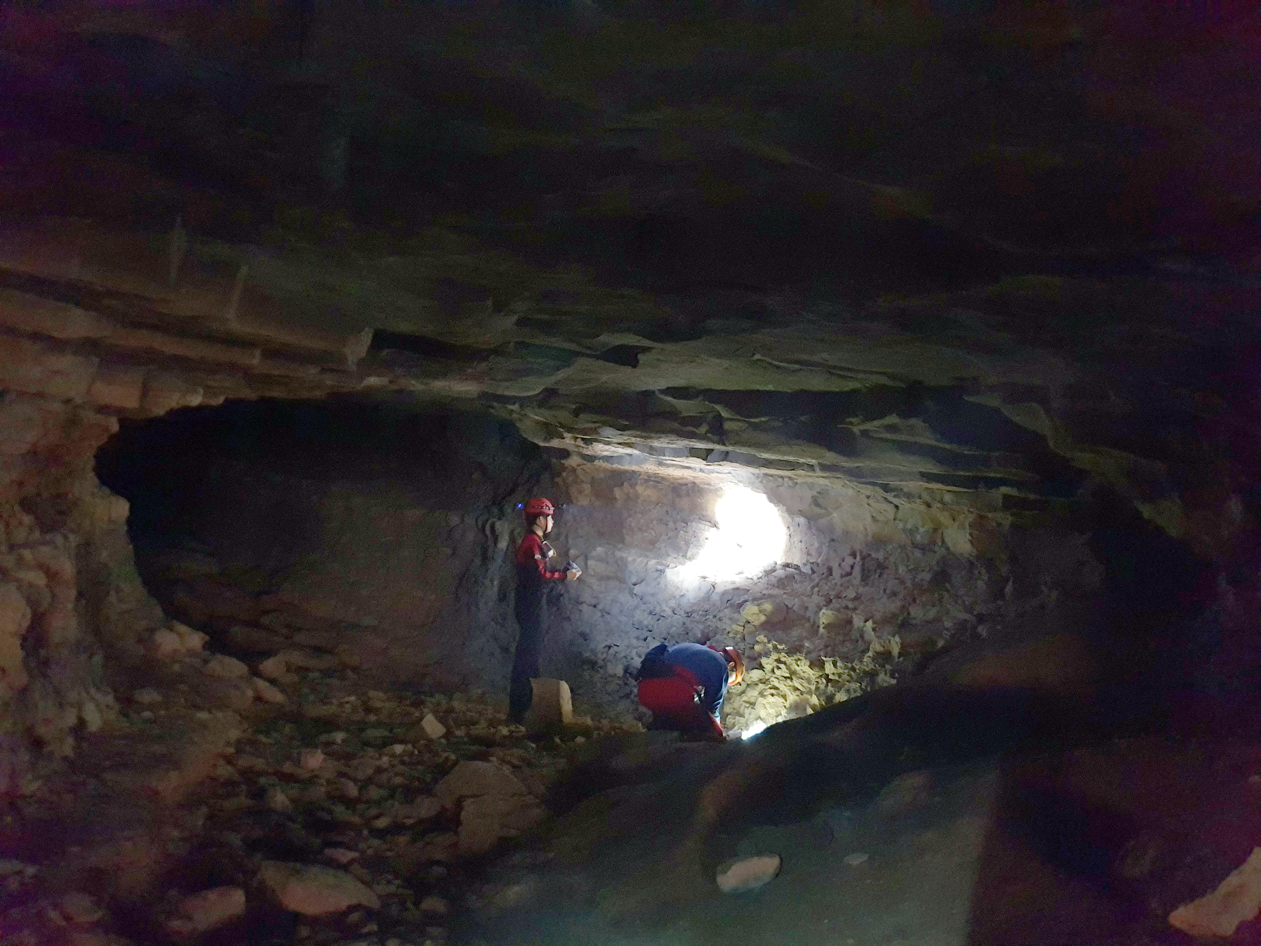 채집지인 동굴 내부 (국립생물자원관)