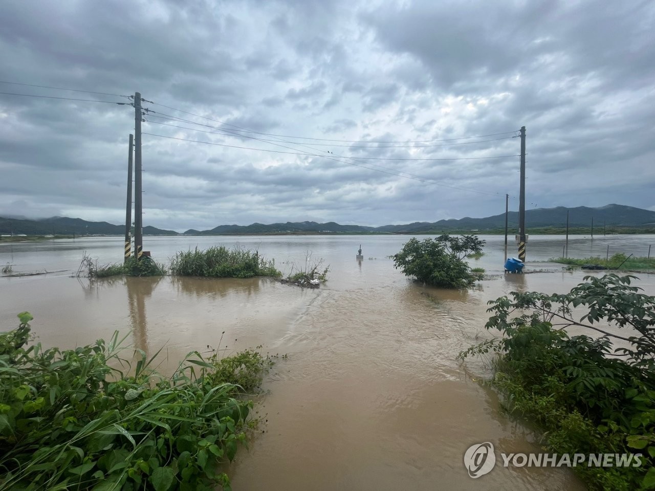 출처 : 연합뉴스