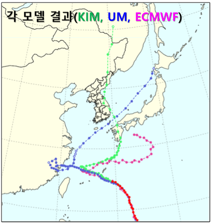 각 모델이 예측한 태풍의 이동 경로