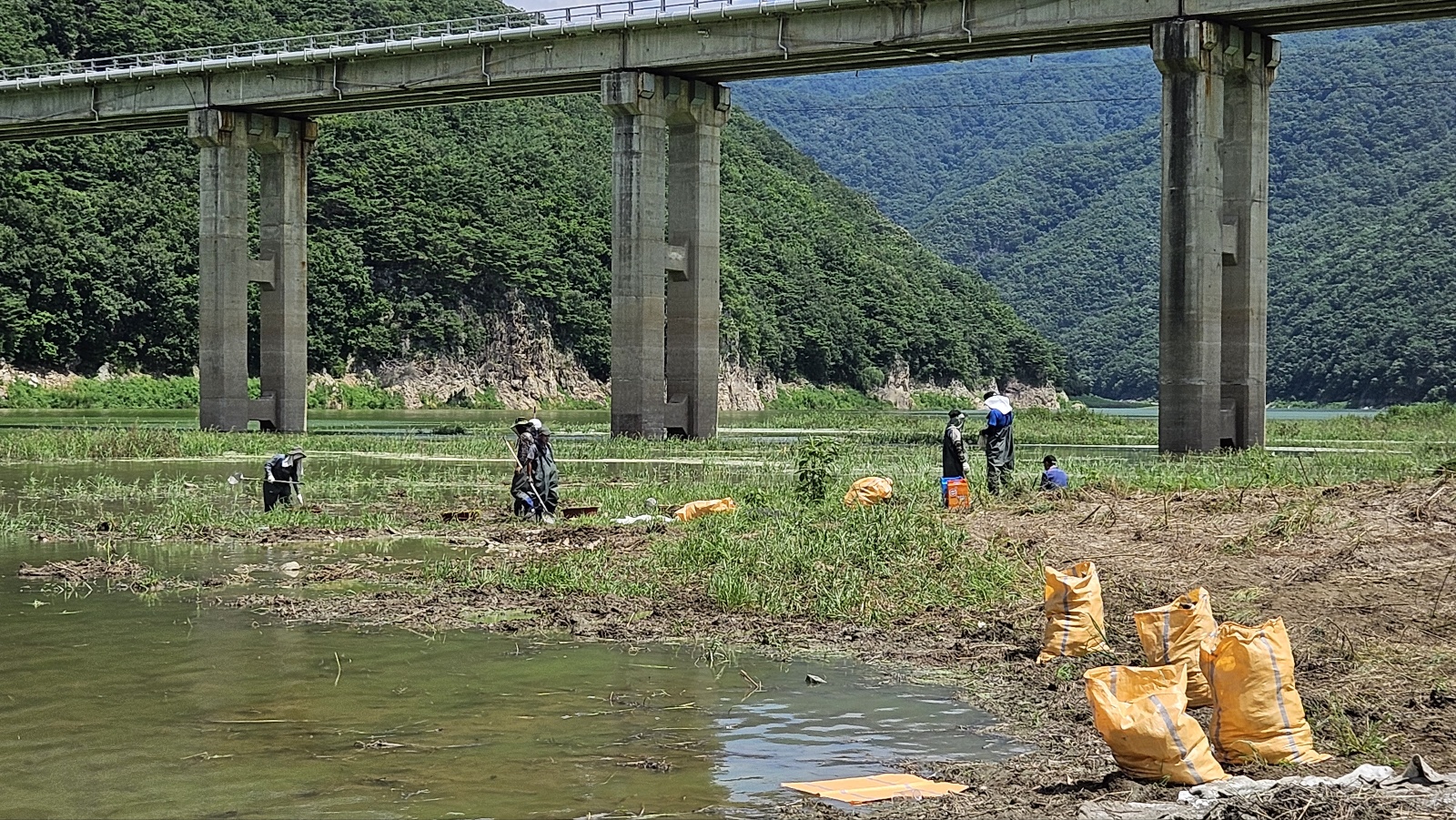 근로자들이 소양호 정화작업에 나서고 있다.