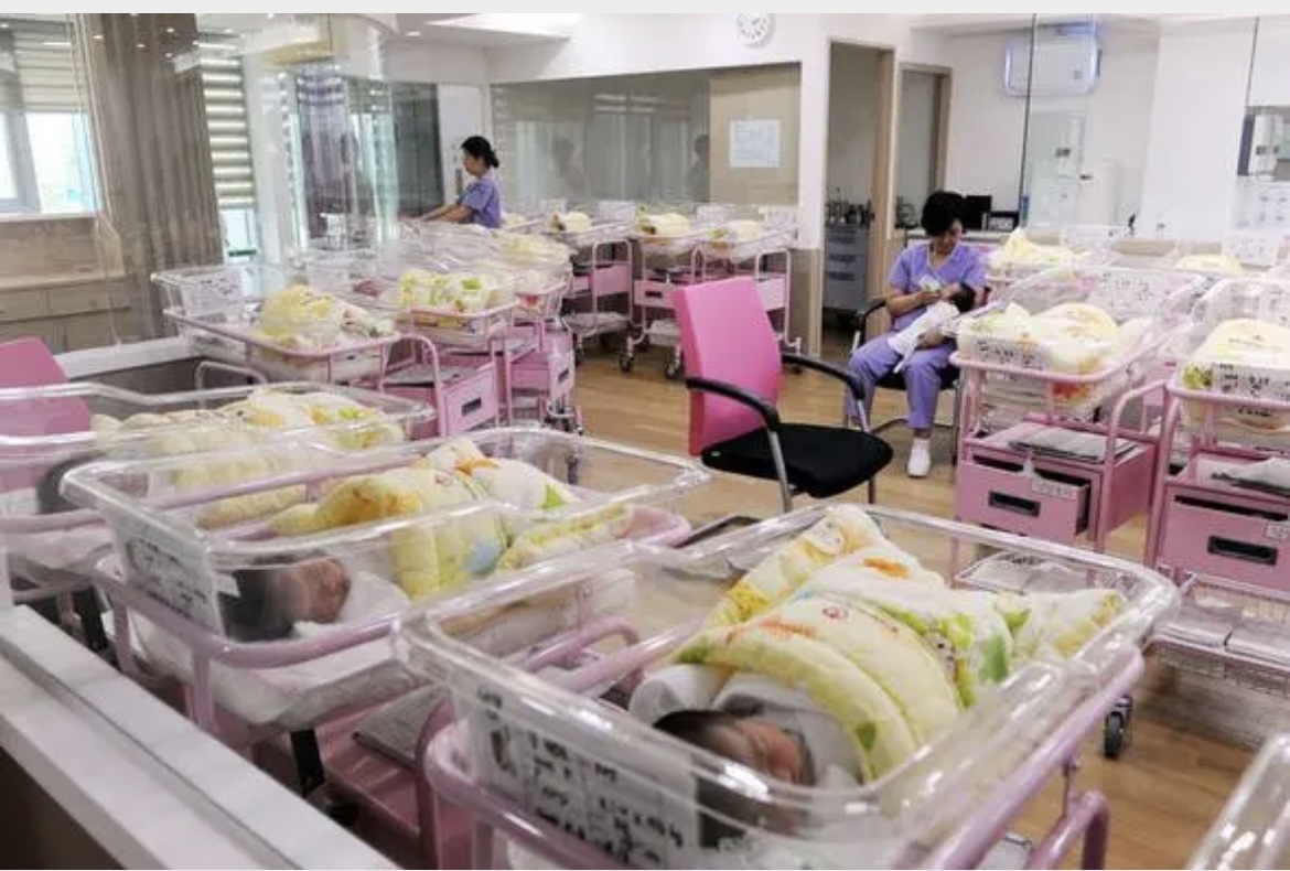 중국의 한 신생아 병동 (출처: 바이두)