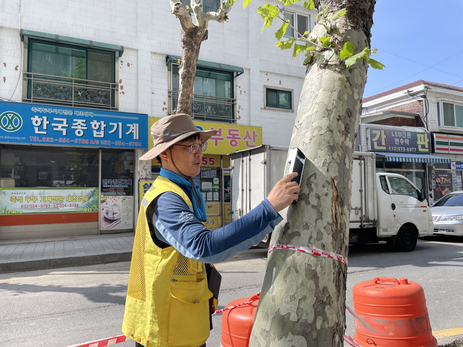 가로수 안전진단 모습 (사진제공 산림청)