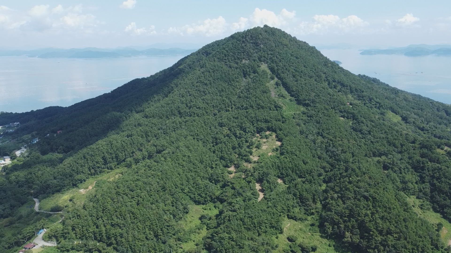 경남의 한 산림조합장 소유 임야가 있는 높이 330m 야산.